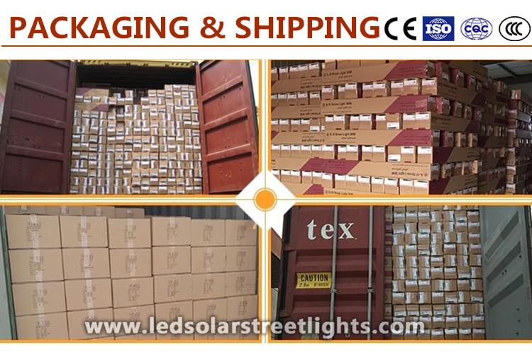 Packaging and Shipping of Solar Lawn Lights