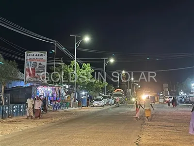 Vertikalno ozelenjevanje LED Street Light Plus je vrsta izkušenj